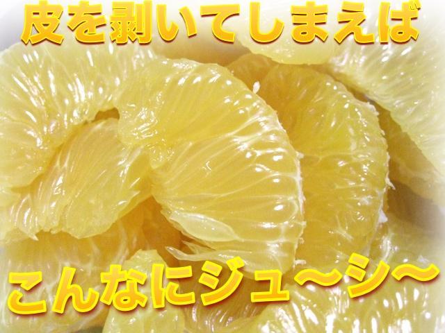 【訳あり】 和歌山産 八朔 5kg 【ご自宅用・サイズ不揃い・キズ等あり】