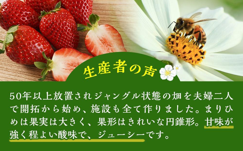 まりひめ6パック【2026年1月～2月発送分】