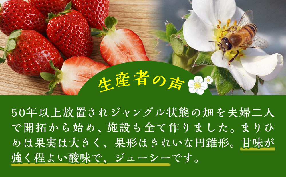まりひめ2パック【2026年3月～4月発送分】