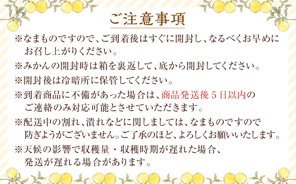 和歌山県産 八朔 秀品 箱込約10kg（約9kg＋保証分500g）