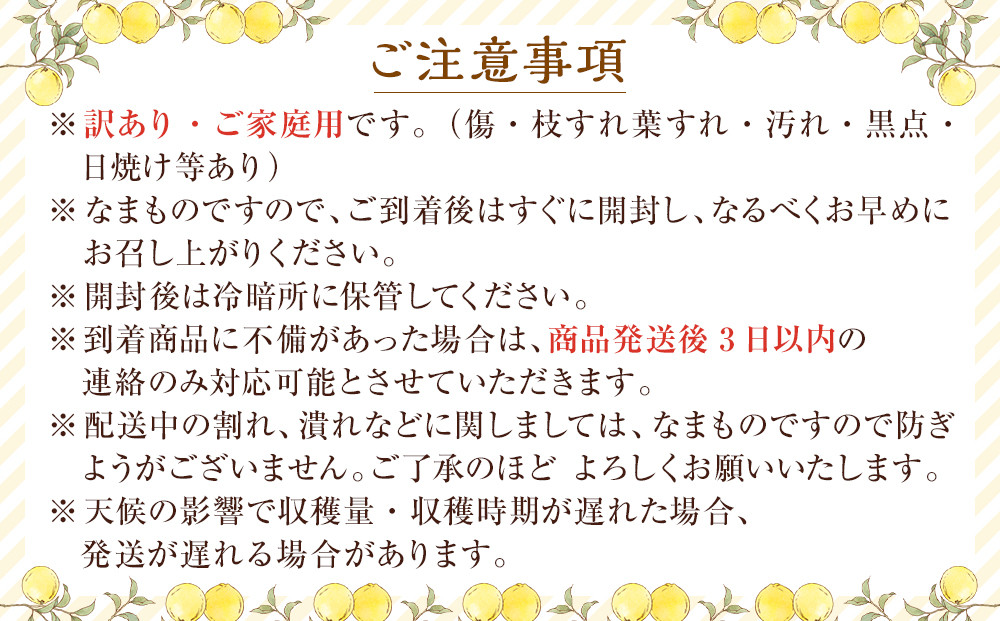 訳あり八朔 約 8kg（箱込み） 和歌山県産