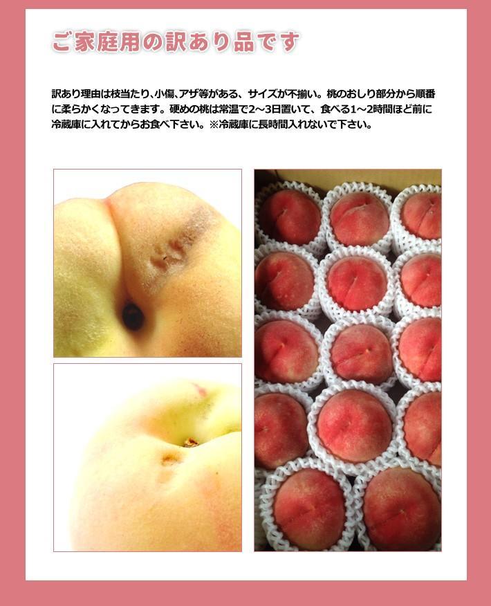 ［先行予約］訳あり桃 約4kg 12～18玉入り 和歌山県産日川、白鳳、清水白鳳、川中島等