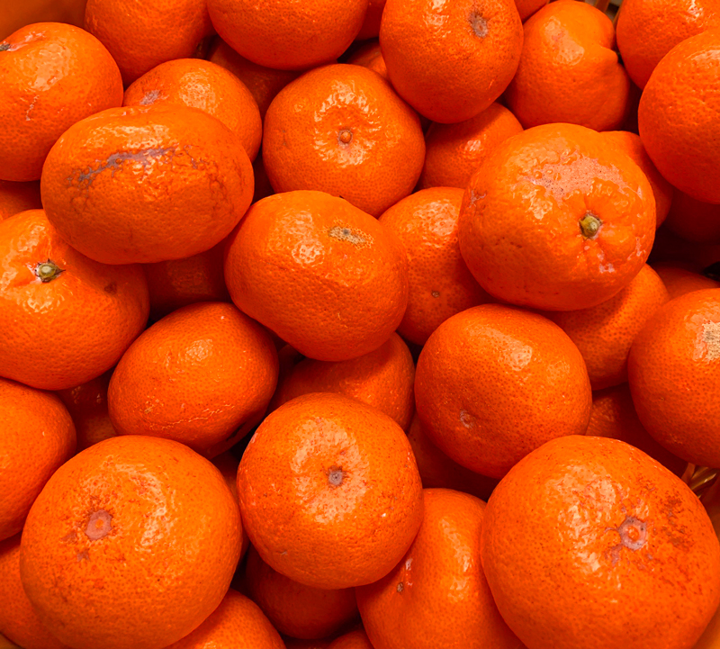 ［ご家庭用訳アリ］紀州有田産温州みかん7.5kg［2026年11月下旬以降発送］［先行予約］［UT10］