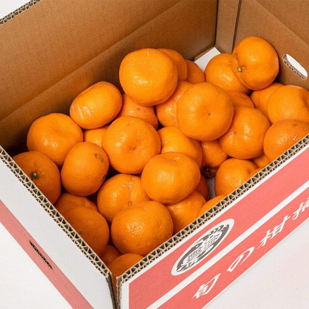 ［ご家庭用訳アリ］紀州有田産濃厚完熟温州みかん 約5kg ［2026年11月下旬以降発送 先行予約 ］［UT13］