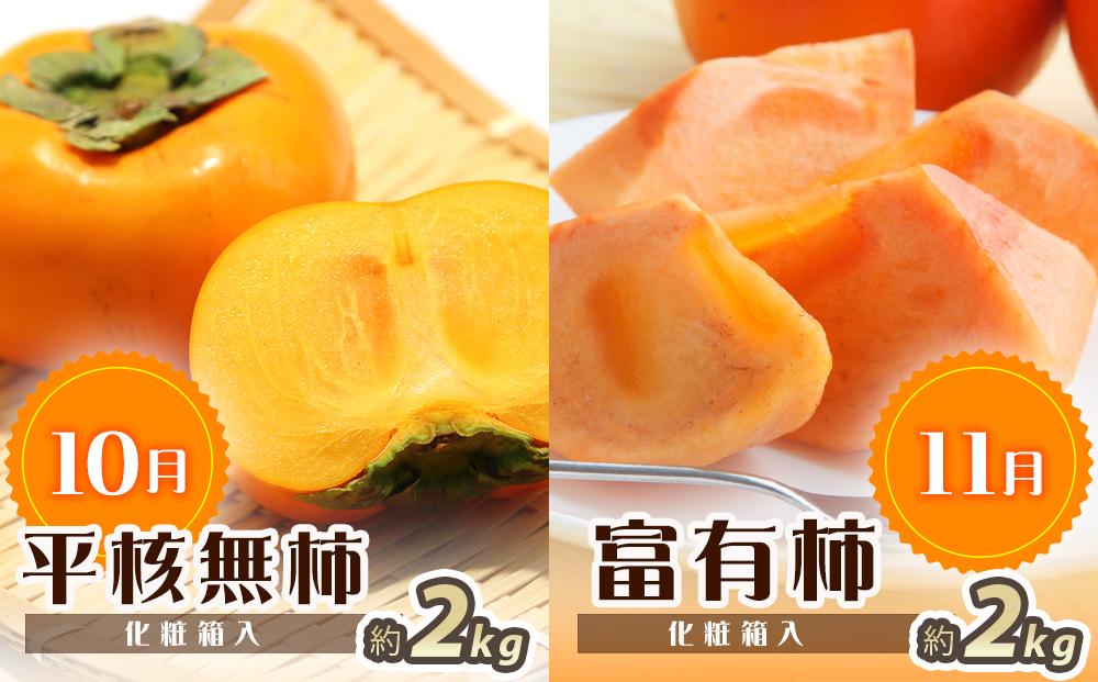 【7・8・10・11月 全4回】紀州和歌山産旬のフルーツセット（バレンシア・桃・ひらたねなし柿・富有柿）【UT81】