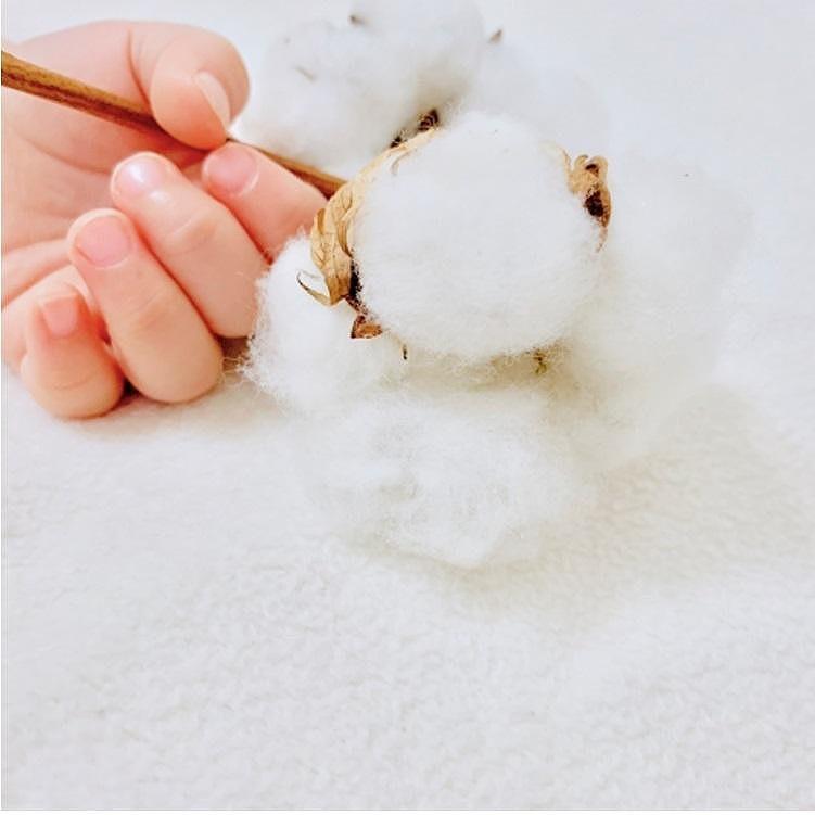 オーガニックコットンガーゼ枕パッド2枚組　Mサイズ（43×63cm）OG-5M