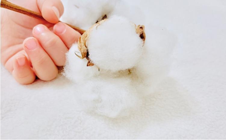 オーガニックコットン　タオルシーツ　シングルサイズ（145×230cm）ボーダー　ブラウン  SNS-13-BR