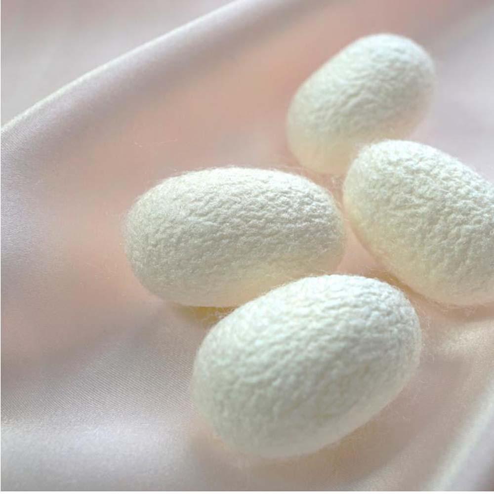 シルク使いの ふわふわ 着る毛布(65×90cm) ブラウン 19016M-BR