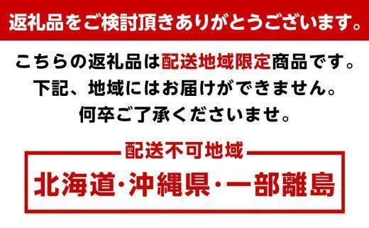 家庭用 大きな有田みかん5kg+250g（傷み補償分）［2025年11月中旬から2026年1月下旬頃順次発送予定］［IKE244］