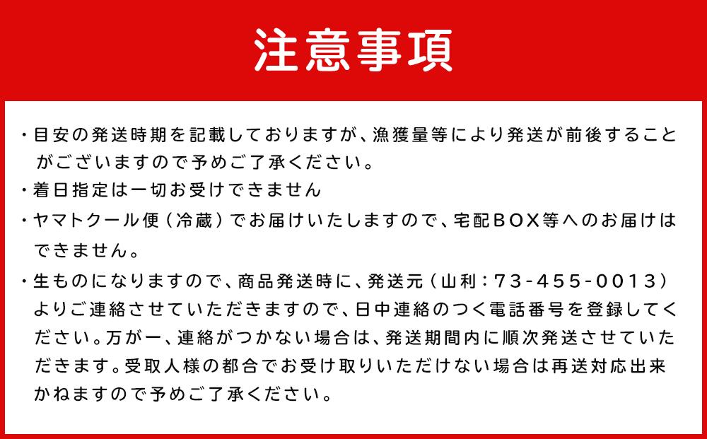 七代目 山利 金印 特上 釜あげしらす 900g 木箱入り 春しらす【2026年発送】