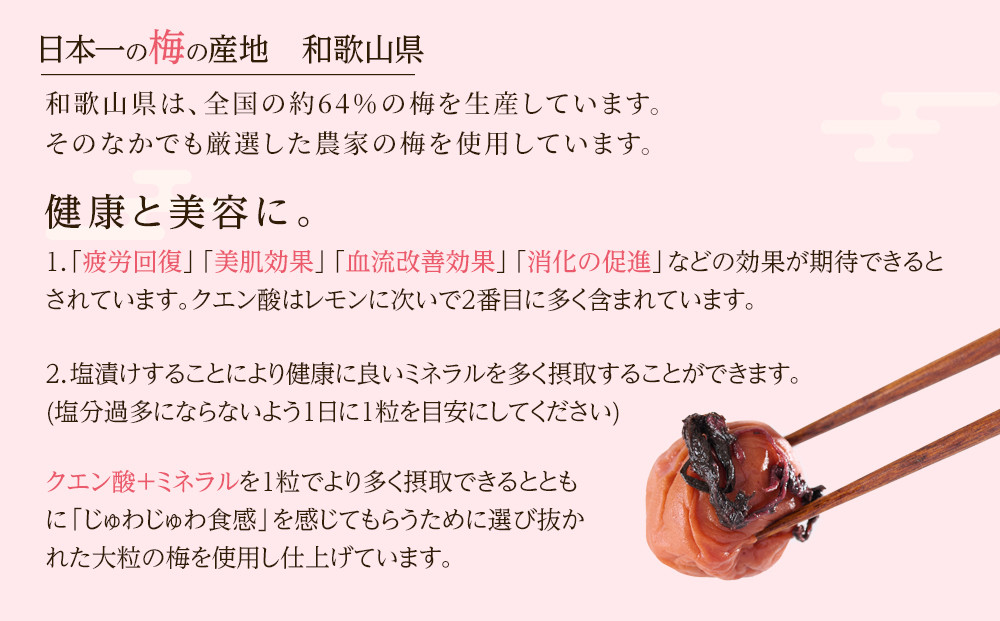 訳あり 梅干し 大粒 大玉 つぶれ梅 しそ梅 約500g 塩分10％