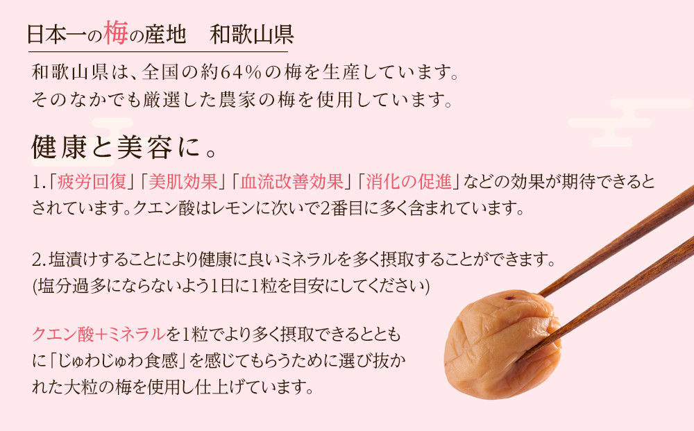 訳あり 梅干し 大粒 大玉 つぶれ梅 はちみつ梅 約500g × 6回 塩分8％ [ 定期便 毎月発送・全6回 ]
