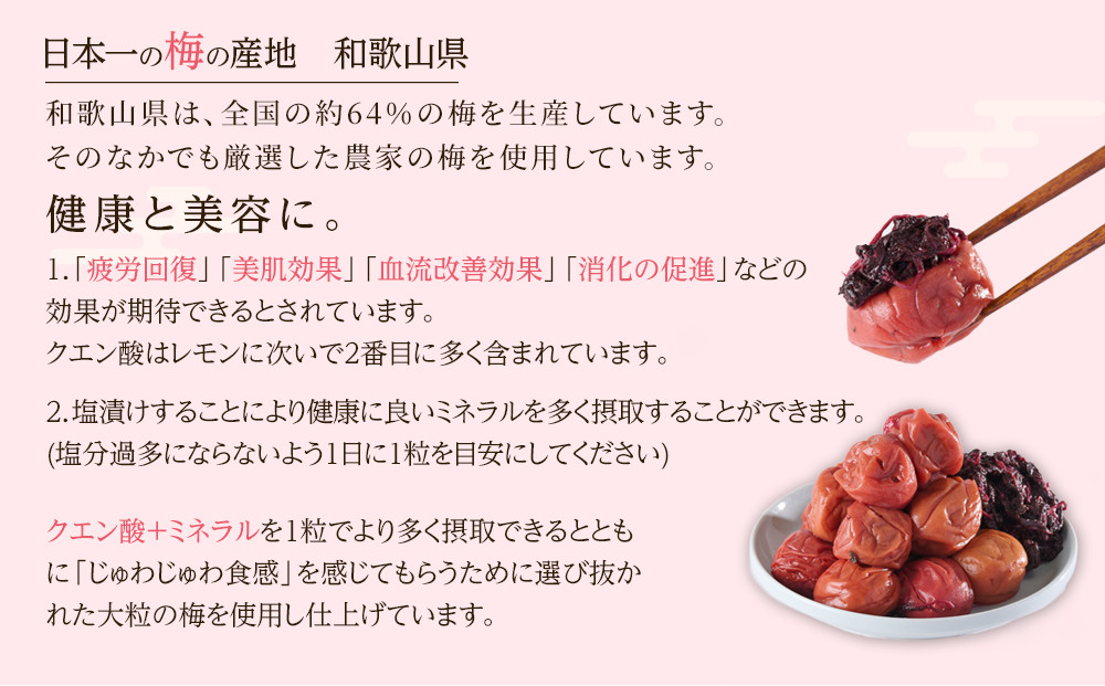 紀州南高梅 紫蘇梅 350g×2 塩分15％ [定期便 毎月発送・全12回]
