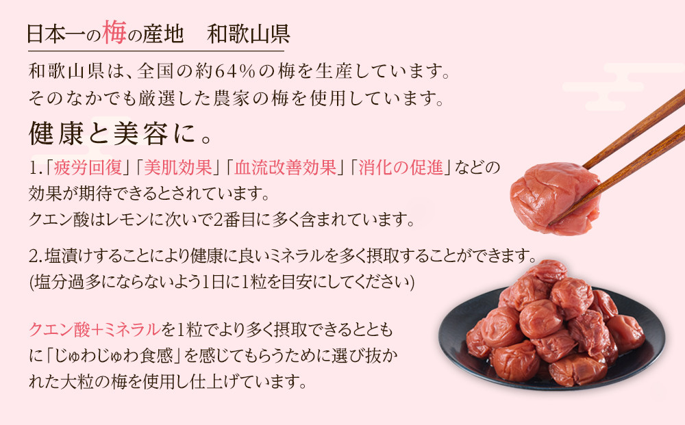 無選別 和歌山の完熟南高梅 味が染み込んだ梅干し しそ味 500g 塩分10％ [定期便 毎月発送・全3回]