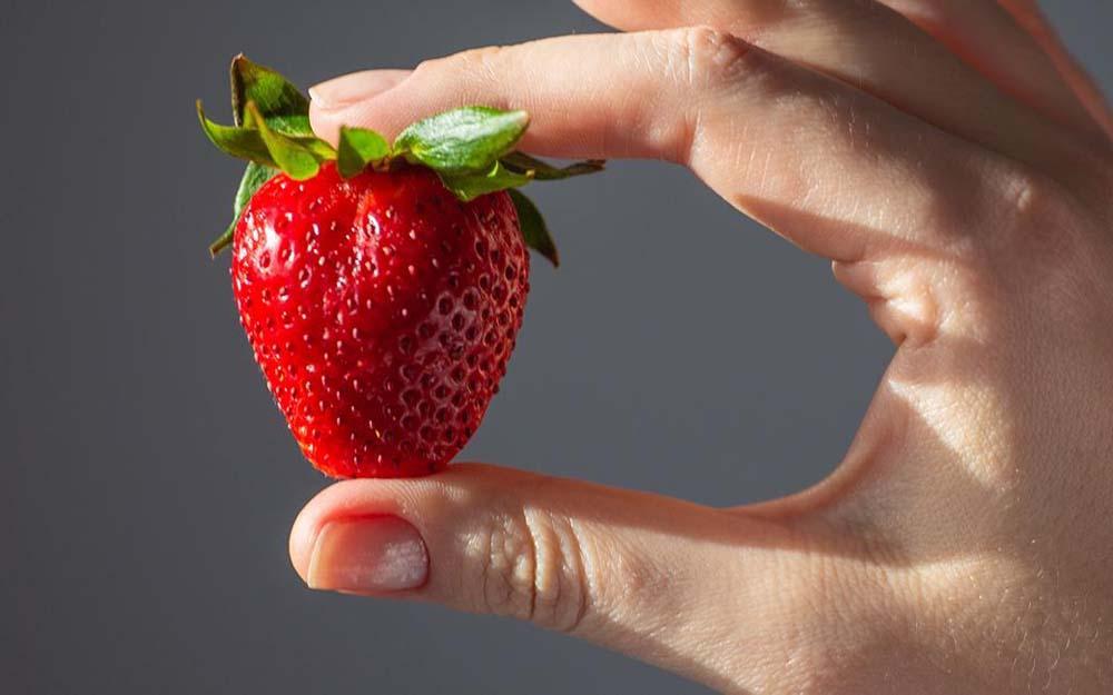 まりひめイチゴ L～２L 12粒～15粒×4パック［2026年1月中旬から発送］［先行販売］［KG8］