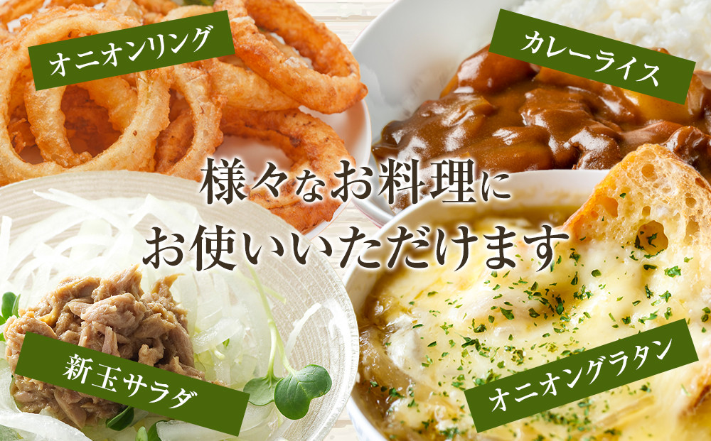 ［2026年発送分・先行予約］農家さん直送 低農薬玉ねぎ Lサイズ 10kg程度［4月中旬～7月中旬頃発送予定］［KF16］