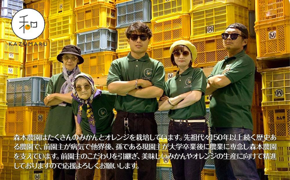 家庭用 森本農園の手選別 ポンカン 10kg 和歌山県産 サイズ混合 ［北海道・沖縄・離島配送不可］［RN33］［2026年1月上旬から順次発送］