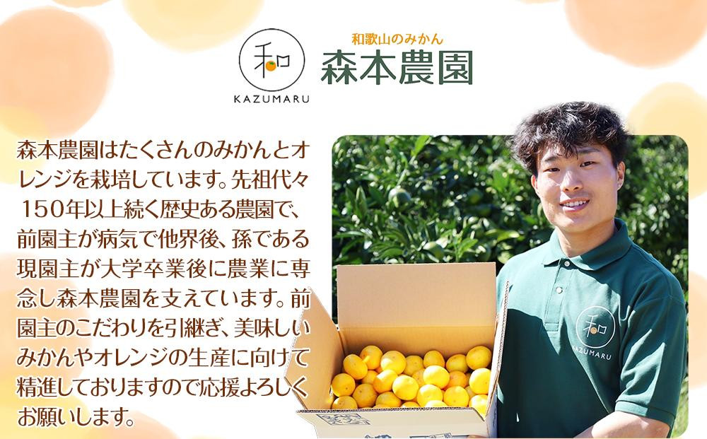 家庭用 森本農園の手選別 小粒みかん 約10kg 和歌山県産 2S・3Sサイズ混合 ［北海道・沖縄・離島配送不可］［2025年11月上旬から順次発送］［RN63］