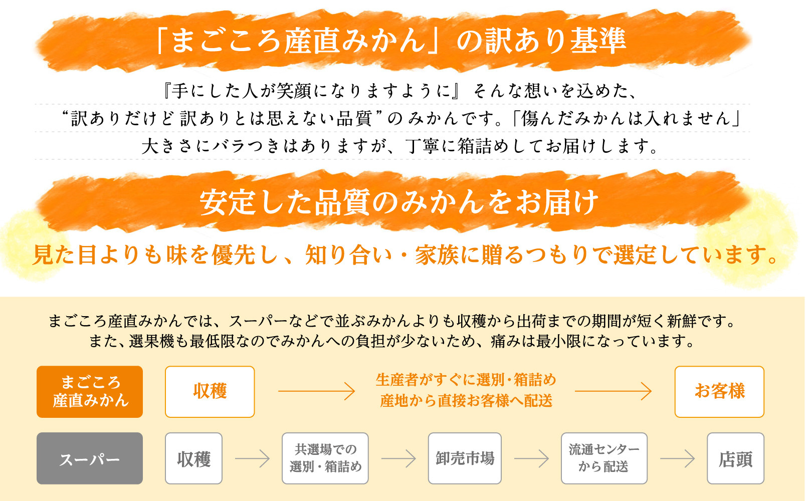 早生みかん 約6.5kg 大小混合 《ご家庭用》ちょっと訳あり 和歌山県より農園直送！まごころ産直みかん 【北海道・沖縄県・一部離島 配送不可】混合サイズ ミカン 蜜柑 温州みかん わけあり 訳アリ【Mg3】