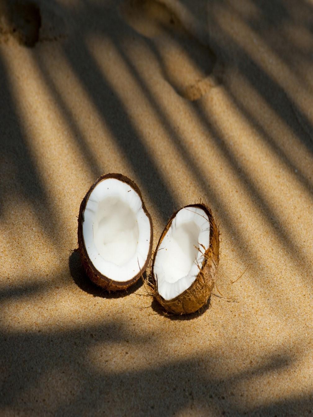 ［卵、香料不使用］ローストココナッツ付き 1L 濃厚ココナッツジェラート