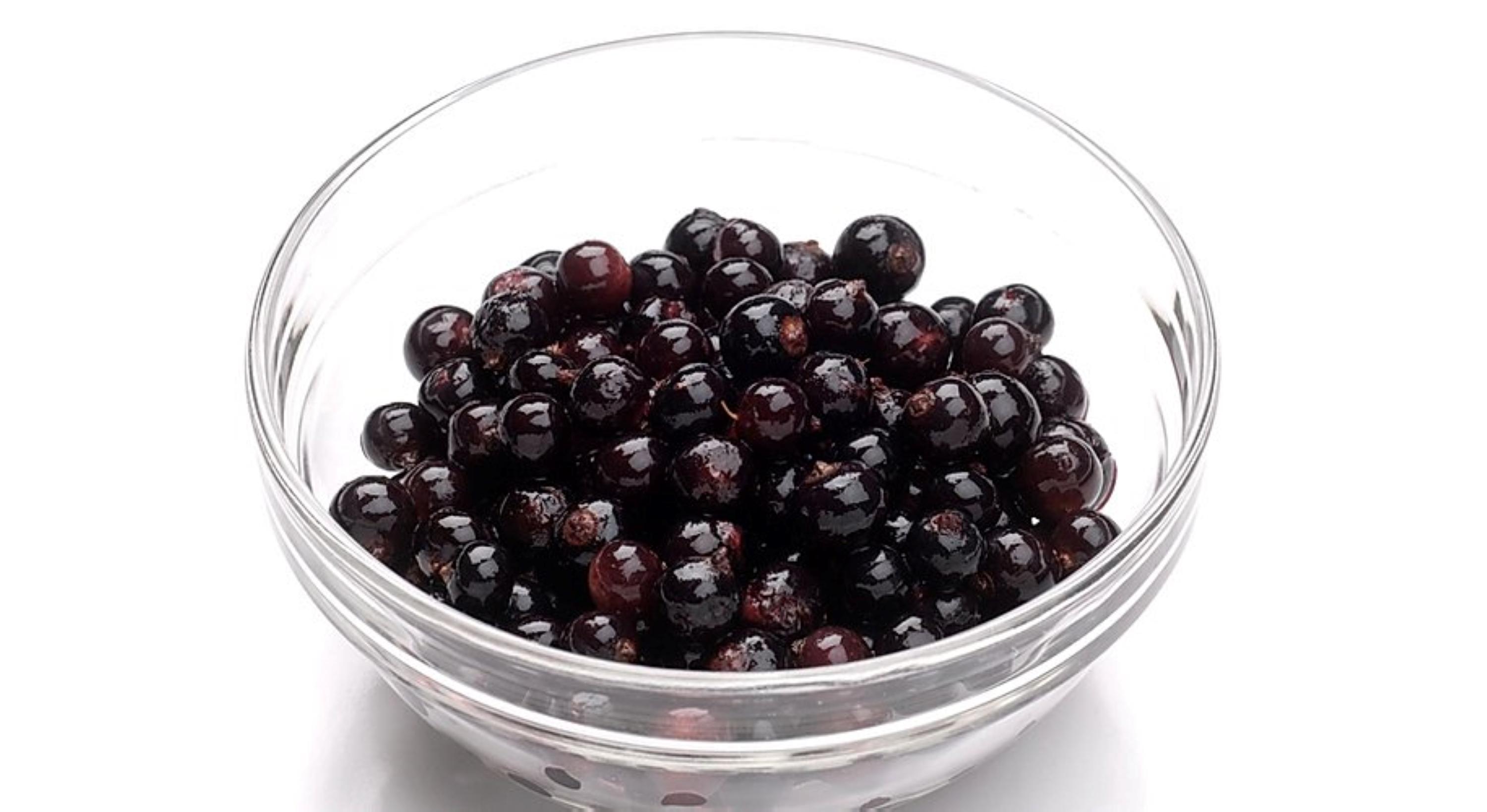 ［無添加、卵・乳不使用］あおもりカシスココナッツジェラート6個セット