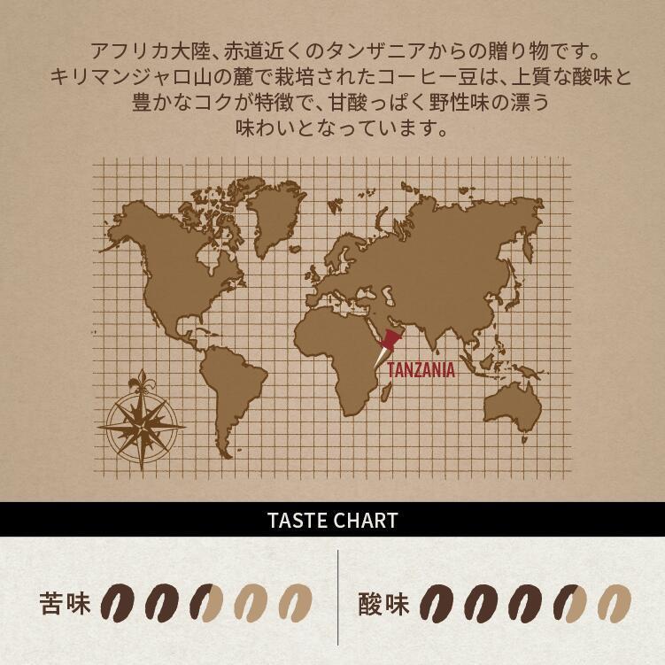 とびだす焙煎所 キリマンジャロ 500g（250g×2袋） 【粉】