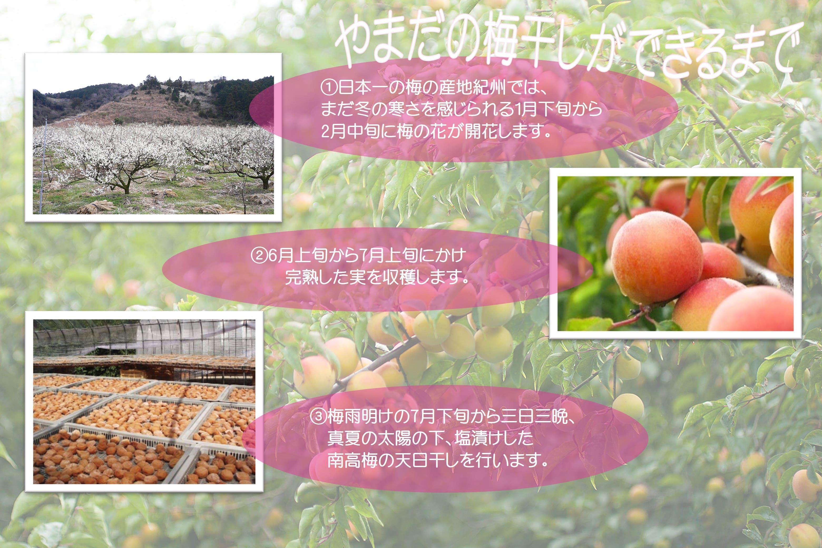 ご家庭用 大容量 紀州南高梅 うす塩 つぶれ 塩分約6％ 700g×2 ［YM15］