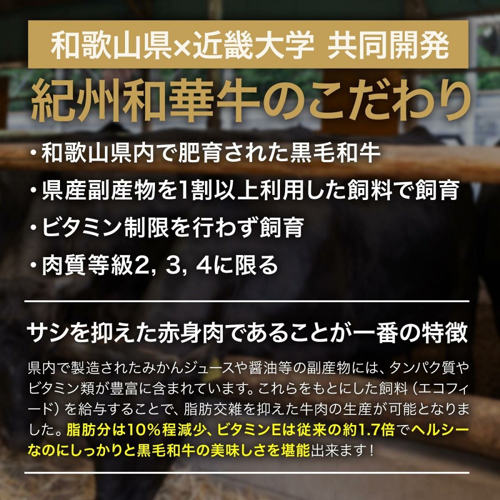 紀州和華牛・熊野牛 ハンバーグ食べ比べセット 6個入り