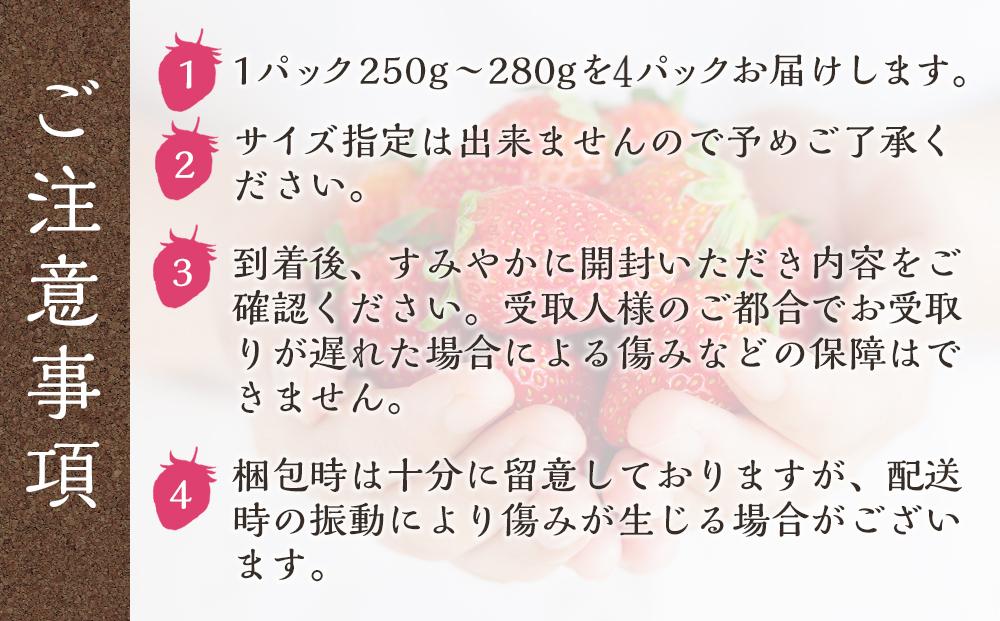 まりひめ 4パック【2026年1月～2月発送分】