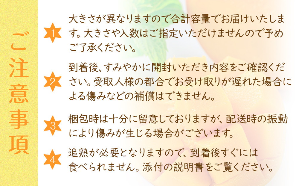 超希少なマンゴー【キーツ】 約1kg 和歌山市（2025年9～10月発送分）