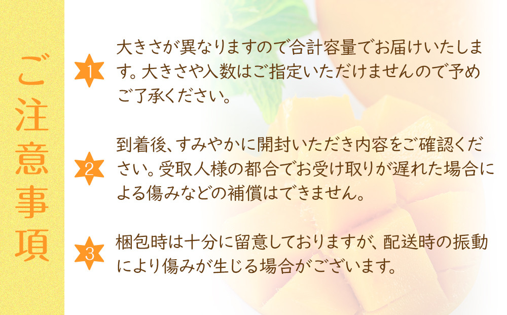 紅金煌 マンゴー 2~3個 入り 合計 800g前後