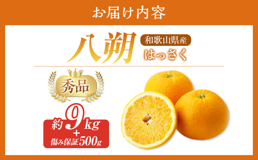 和歌山県産 八朔 秀品 箱込約10kg（約9kg＋保証分500g）
