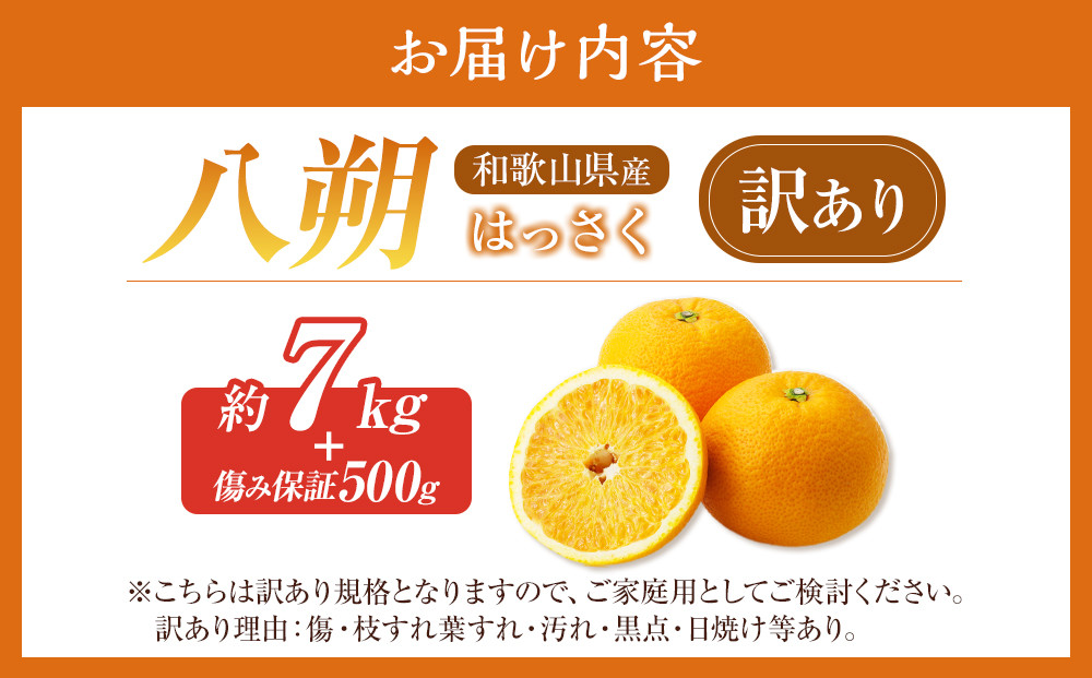 訳あり八朔 約 8kg（箱込み） 和歌山県産