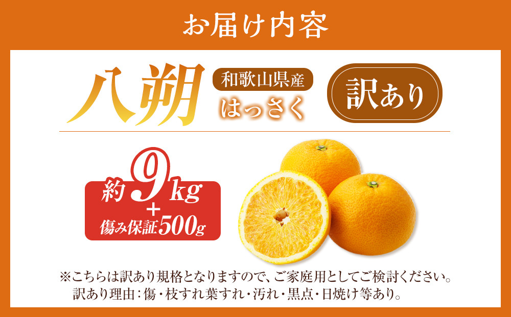 訳あり八朔  約10kg（箱込み） 和歌山県産