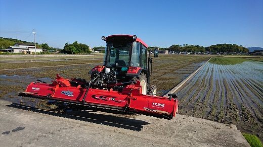 和歌山県産こしひかり １０キロ（５キロを２袋）