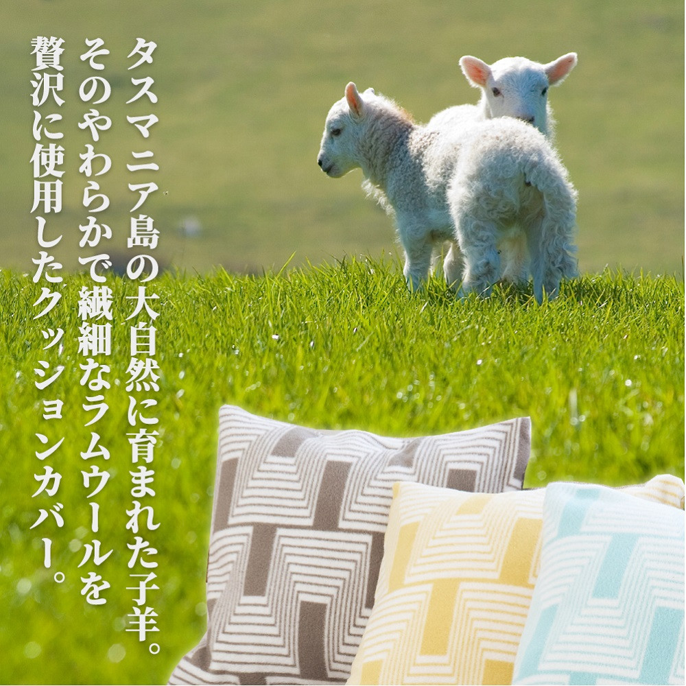 【2枚組】洗えるタスマニアラムウール混クッションカバー 45×45cm OTW-4545-BR-2P