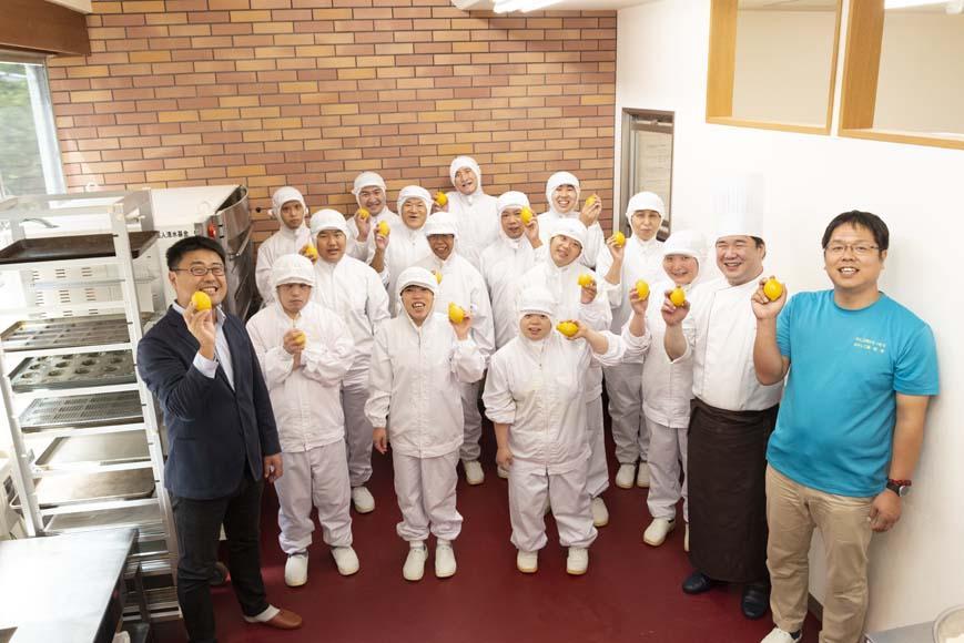 和歌山レモンケーキ スタンダード（12個入）