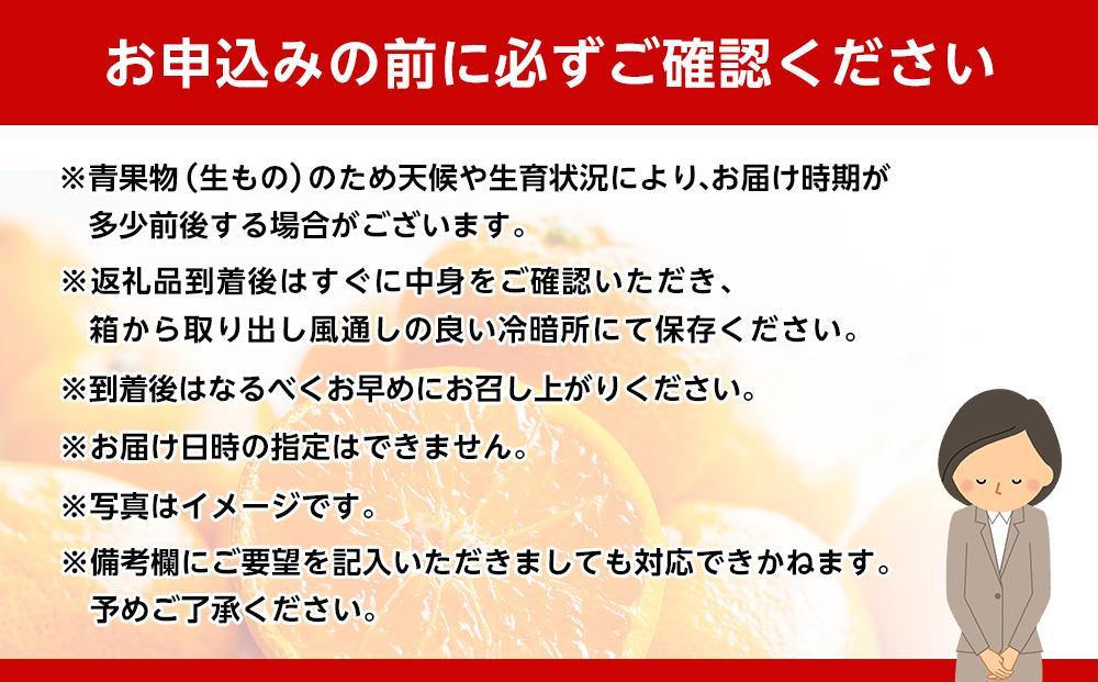 和歌山県産 糖度 12.5度以上 秀品 贈答用 みかん 3kg 3S～L サイズ混合 【NY1】