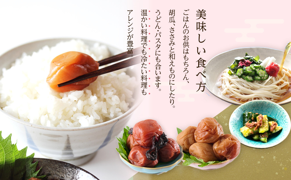 訳あり 梅干し 大粒 大玉 つぶれ梅 しそ梅 約500g 塩分10％
