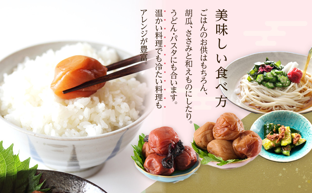 訳あり 梅干し 大粒 大玉 つぶれ梅 はちみつ梅 約1kg(500g×2) × 3回  塩分8％ [ 定期便 2か月に１回発送・全3回 ]