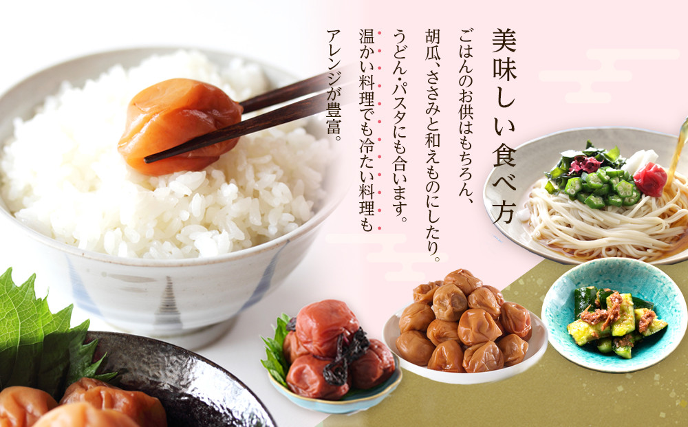 梅干し しらぼし梅 約400g 塩のみ 無添加 大粒 紀州南高梅 塩分約15％ 和歌山県産 [ 定期便 毎月発送・全6回 ]