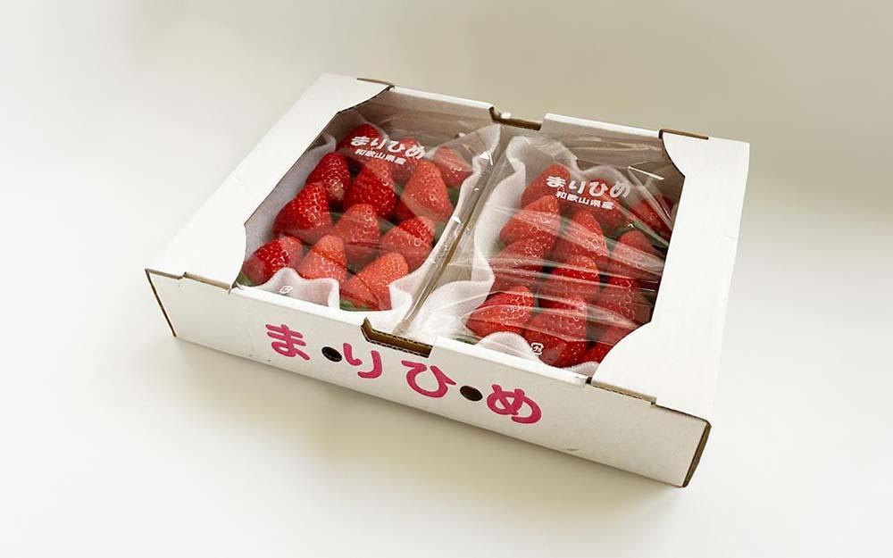 まりひめイチゴ L～２L 12粒～15粒×4パック［2026年1月中旬から発送］［先行販売］［KG8］