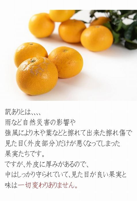 八朔 はっさく 訳あり 約6kg｜和歌山県和歌山市産 ご家庭用 柑橘フルーツ【2026年先行予約】甘酸っぱくて爽やか！見た目は訳ありでも味は絶品！3月下旬～４月下旬頃出荷予定（サイズ不選別）［Mg20］
