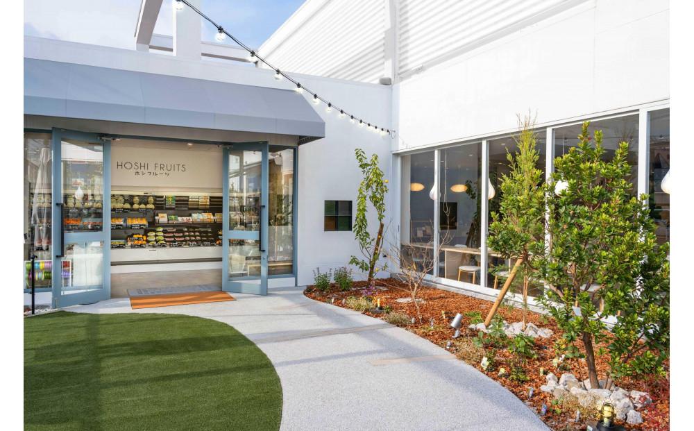 ホシフルーツ 果実のしっとりパウンドケーキ 12個