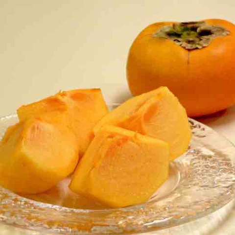 和歌山産 たねなし柿 10kg (5kg×2箱)