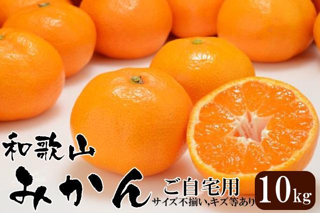 和歌山産 みかん 10kg 【ご自宅用・サイズ不揃い・キズ等あり】【ヤマタ大谷商店】