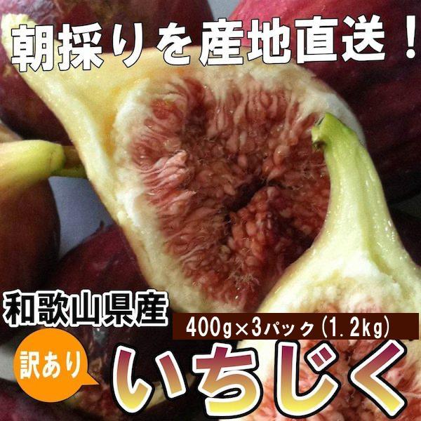 和歌山産 【訳あり】 いちじく  (サイズ不揃い、傷あり) 1.2kg(400g×3パック)