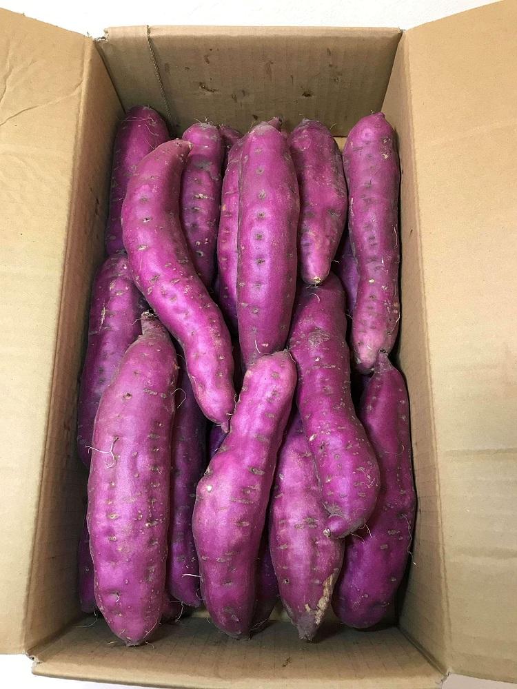 和歌山県産 水軒金時 さつまいも 2Lサイズ 約 5kg 2026年 発送 先行予約