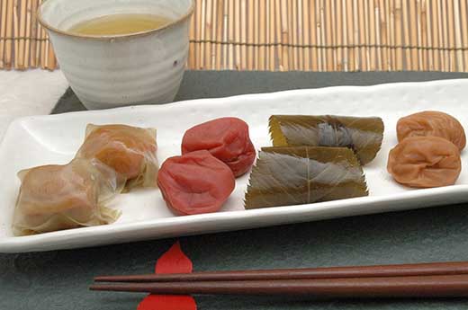 紀州南高梅　夢葵　彩の舞　16粒