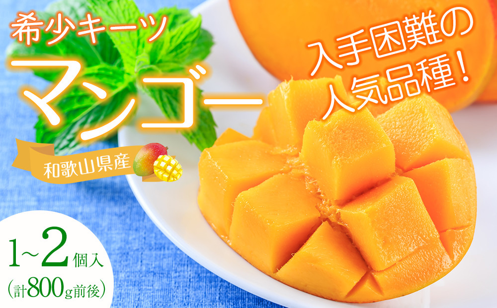 超希少なマンゴー【キーツ】 約800g 和歌山市（2025年9～10月発送分）